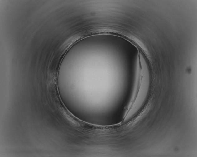 X0000094200793200711241636