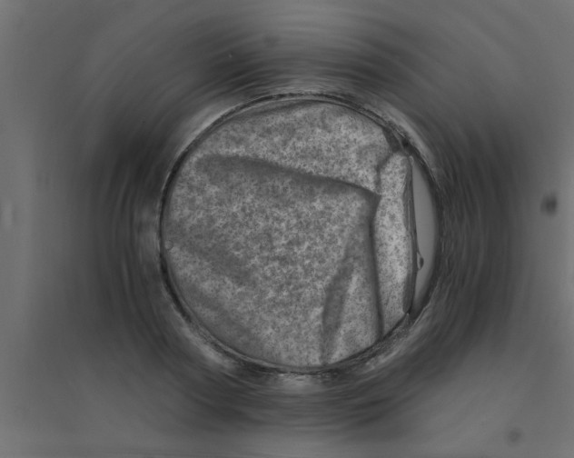 X0000094200794200711241636