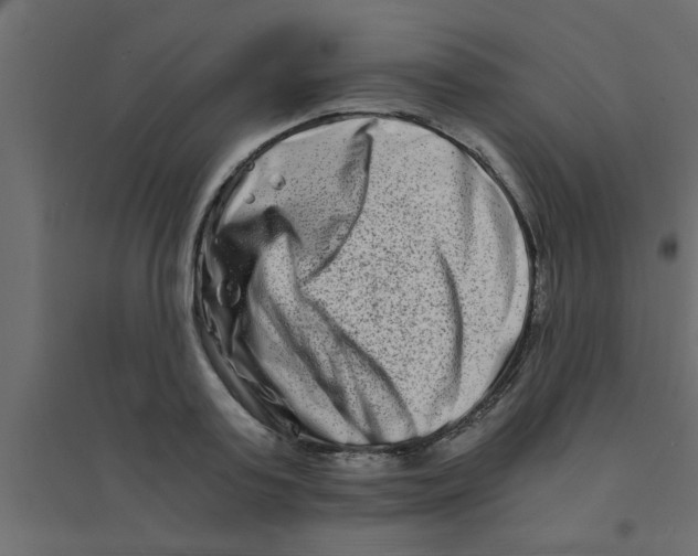 X0000094200795200711241636