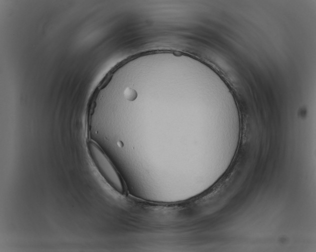 X0000094200796200711241636