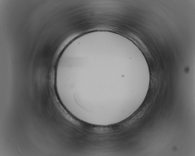 X0000094200804200711241636