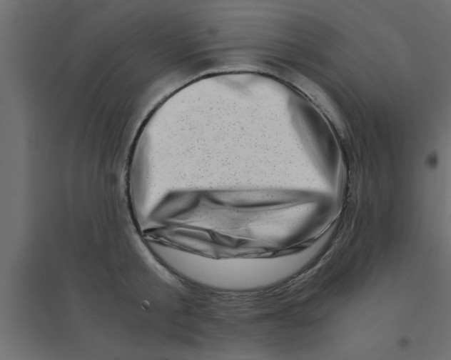 X0000094200805200711241636