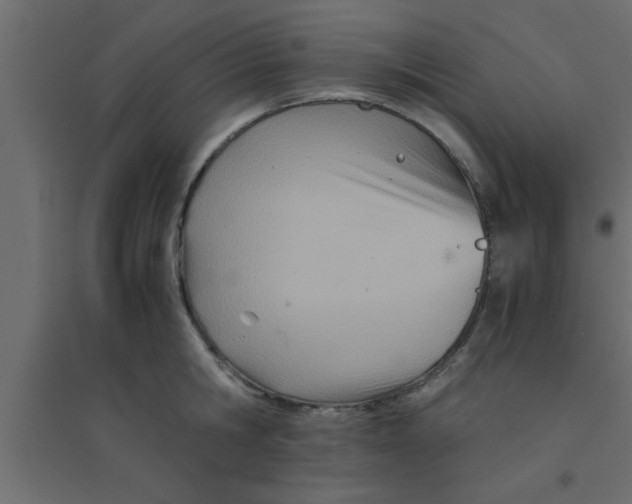 X0000094200806200711241636