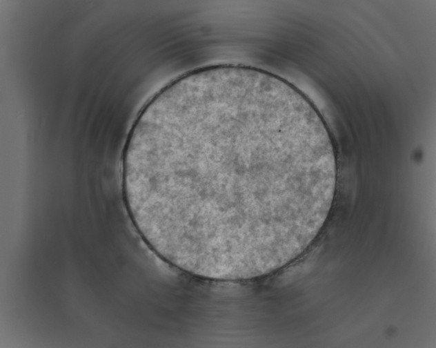 X0000094200807200711241636