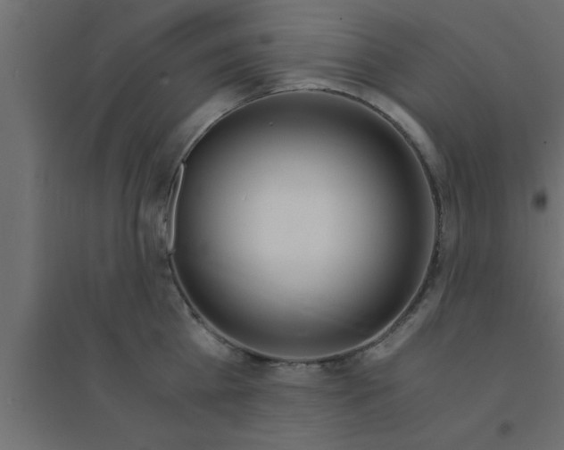 X0000094200809200711241636