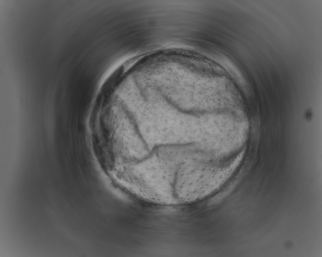 X0000094200814200711241636