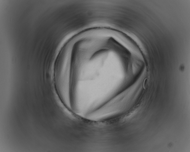 X0000094200815200711241636