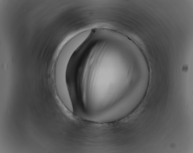 X0000094200816200711241636
