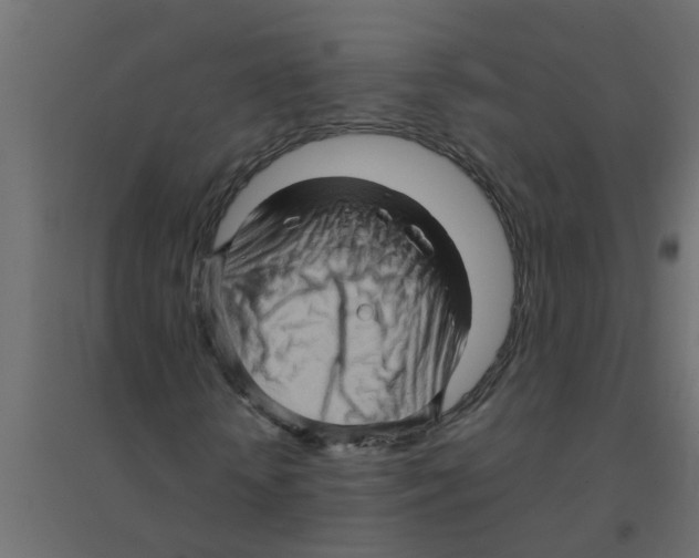 X0000094200818200711241635
