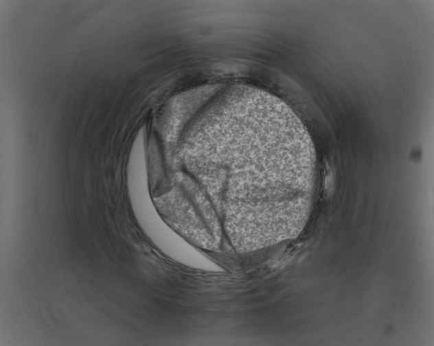 X0000094200819200711241635