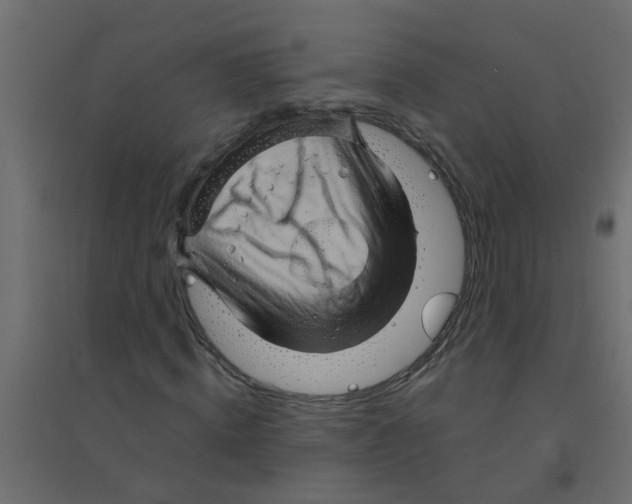 X0000094200820200711241635