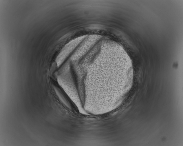 X0000094200821200711241635