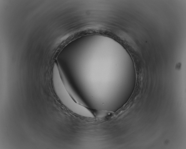 X0000094200822200711241635