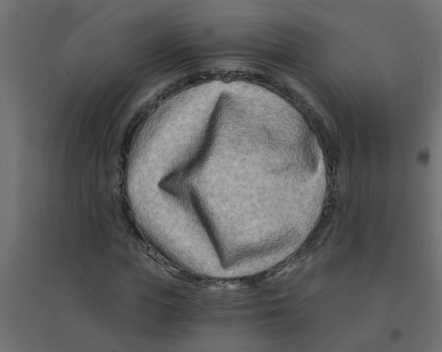 X0000094200823200711241635