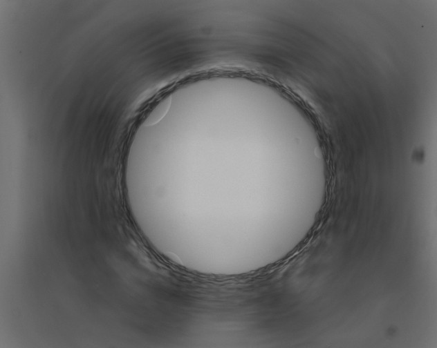 X0000094200824200711241635