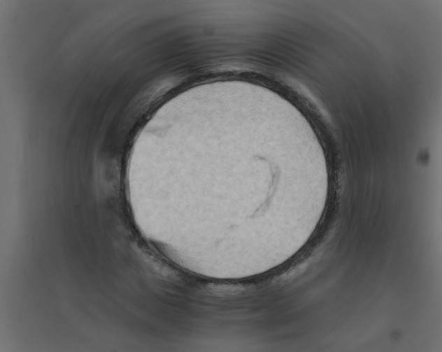 X0000094200825200711241635