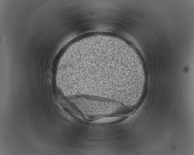 X0000094200827200711241635