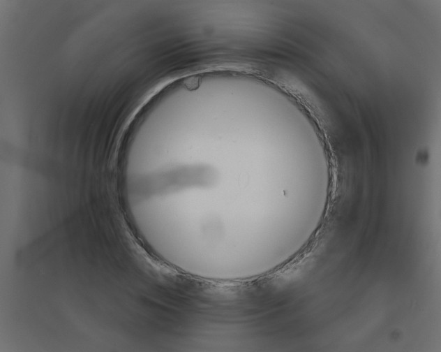 X0000094200828200711241635