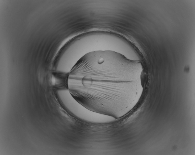 X0000094200830200711241635