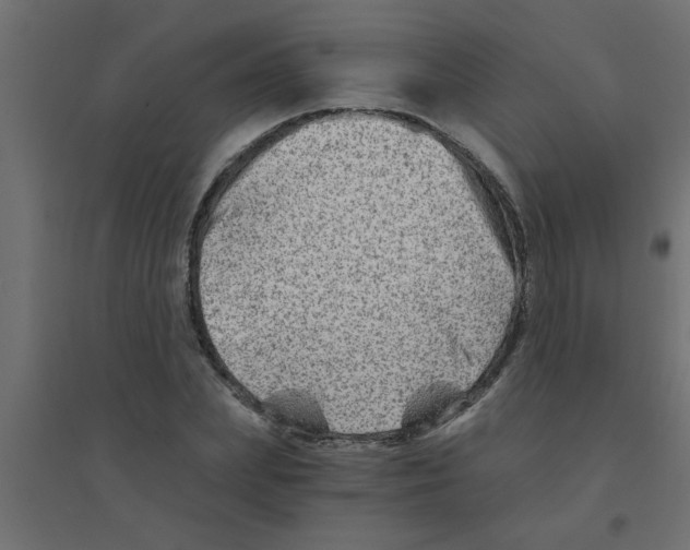 X0000094200831200711241635