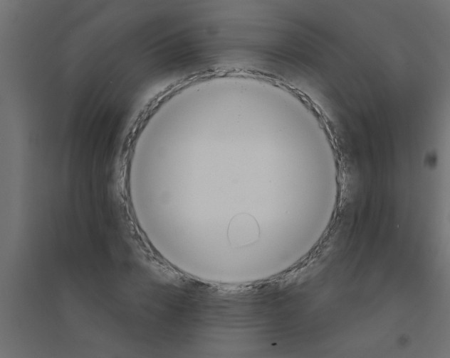 X0000094200832200711241635