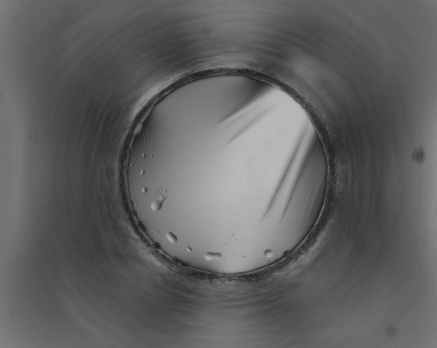 X0000094200834200711241635