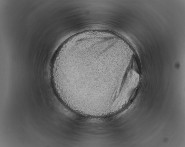 X0000094200835200711241635