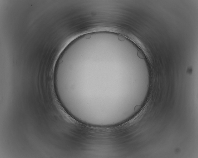 X0000094200836200711241635
