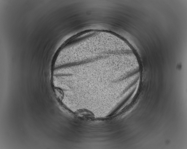 X0000094200837200711241635