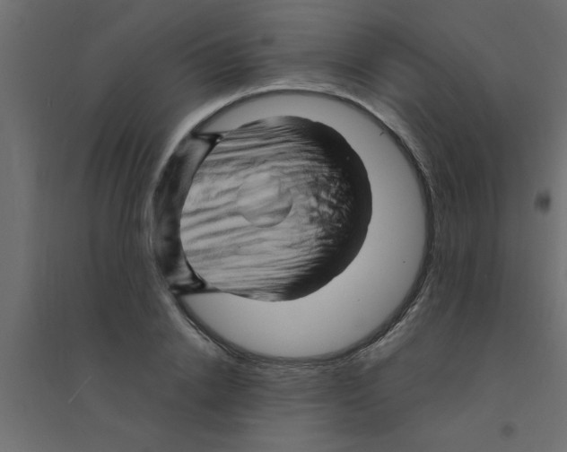 X0000094200838200711241635