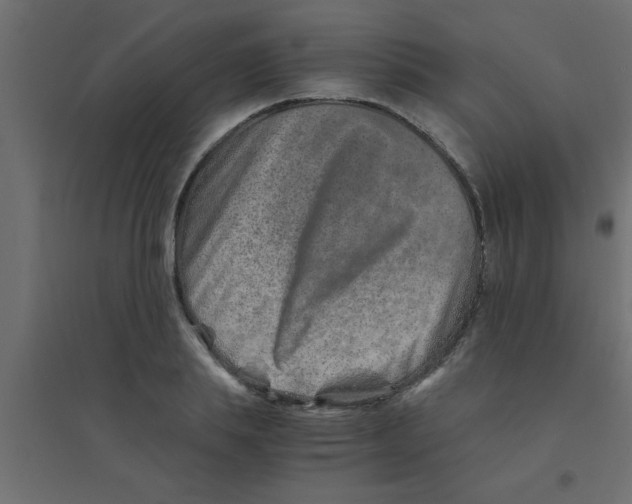 X0000094200839200711241635