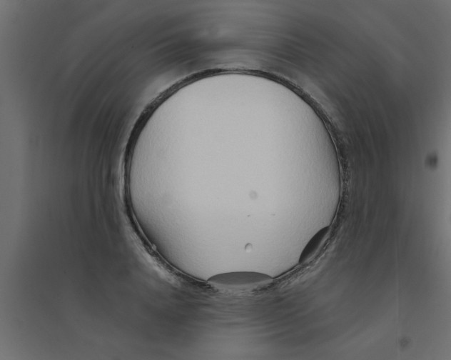X0000094200840200711241635