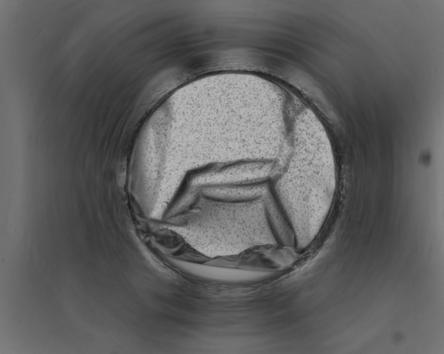 X0000094200841200711241635