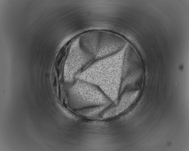 X0000094200842200711241635