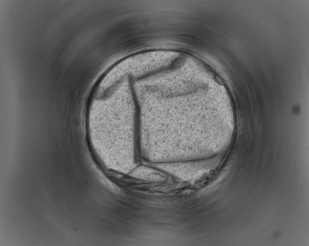X0000094200843200711241635
