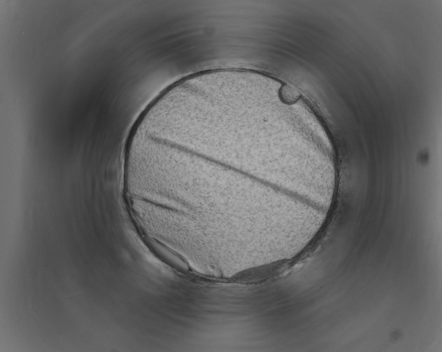 X0000094200844200711241635