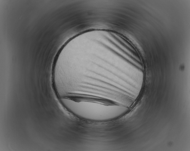 X0000094200845200711241635
