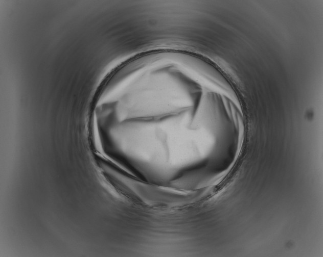 X0000094200846200711241635