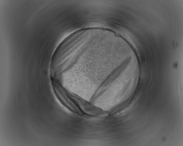 X0000094200847200711241635