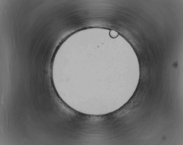 X0000094200848200711241635