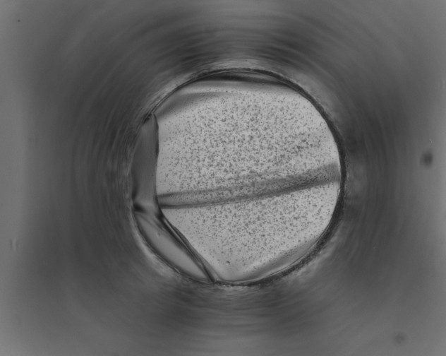 X0000094200849200711241635