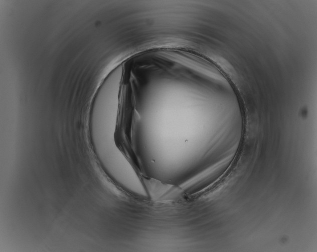 X0000094200850200711241635