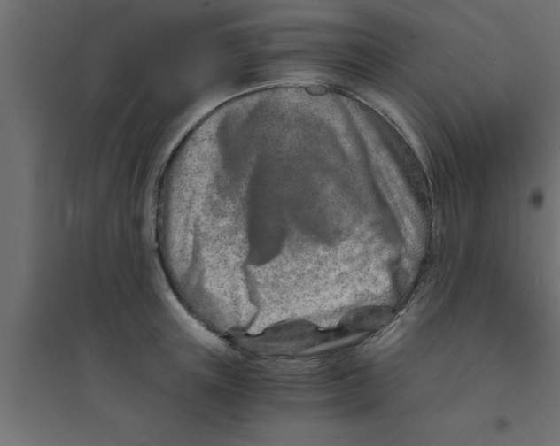 X0000094200851200711241635