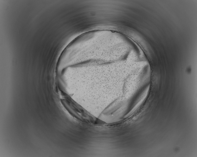 X0000094200852200711241635