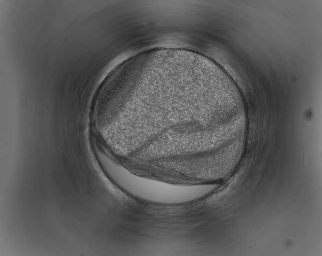 X0000094200853200711241635