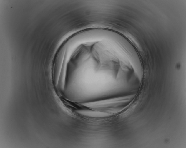 X0000094200854200711241635