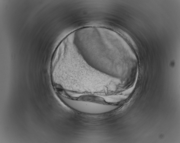 X0000094200855200711241635