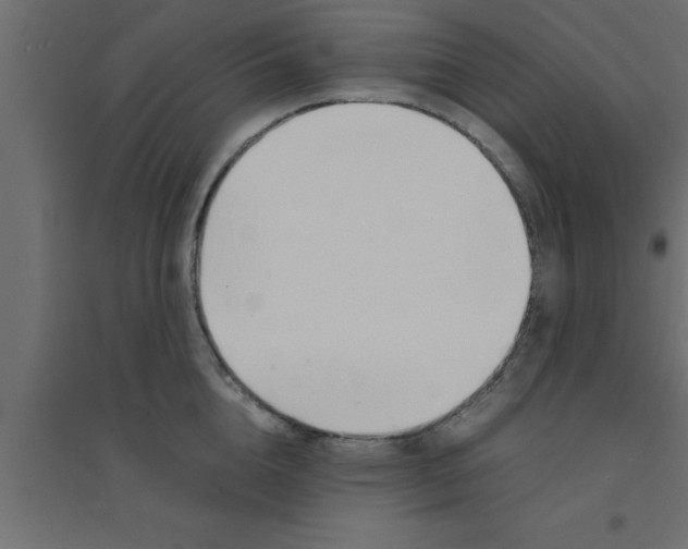 X0000094200856200711241635