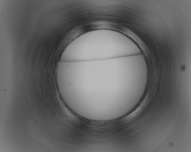 X0000094200857200711241635
