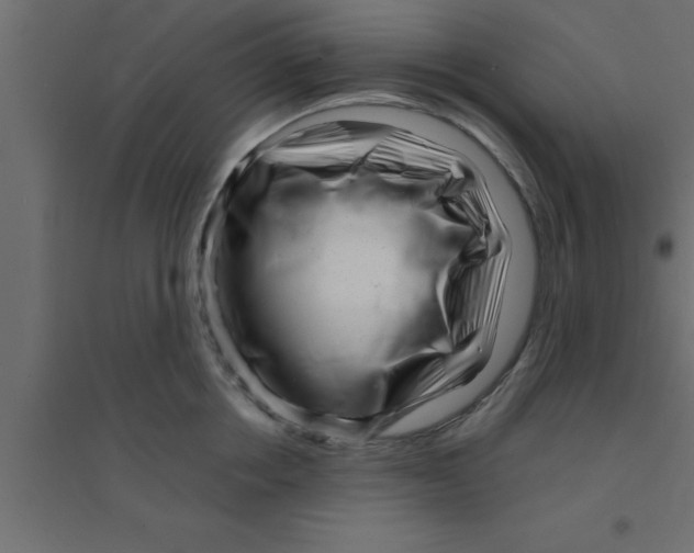 X0000094200858200711241635